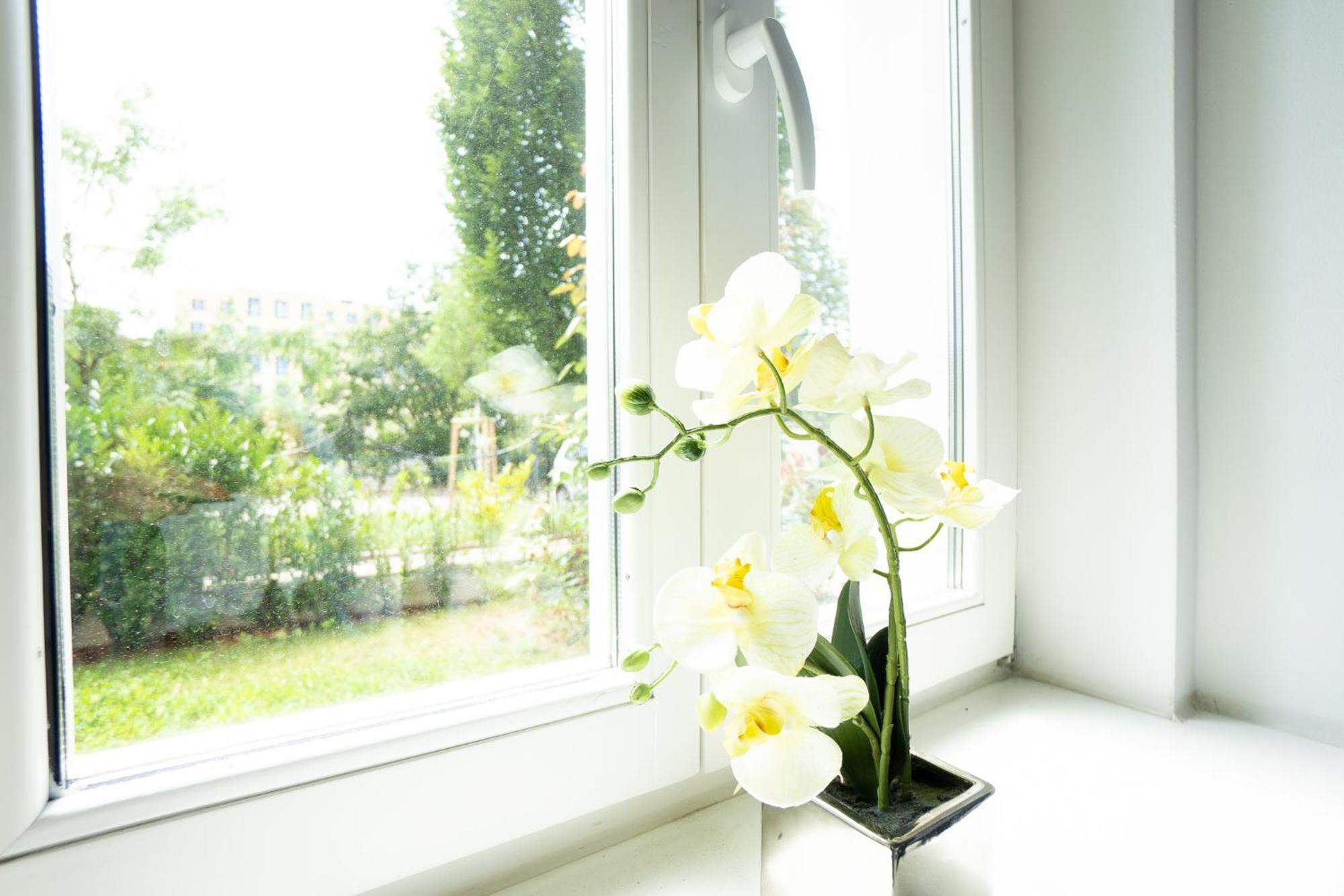 Dainn Apartments Schoenbrunn Vienna Luaran gambar